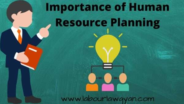 Why Human Resource Planning Is Important Essay