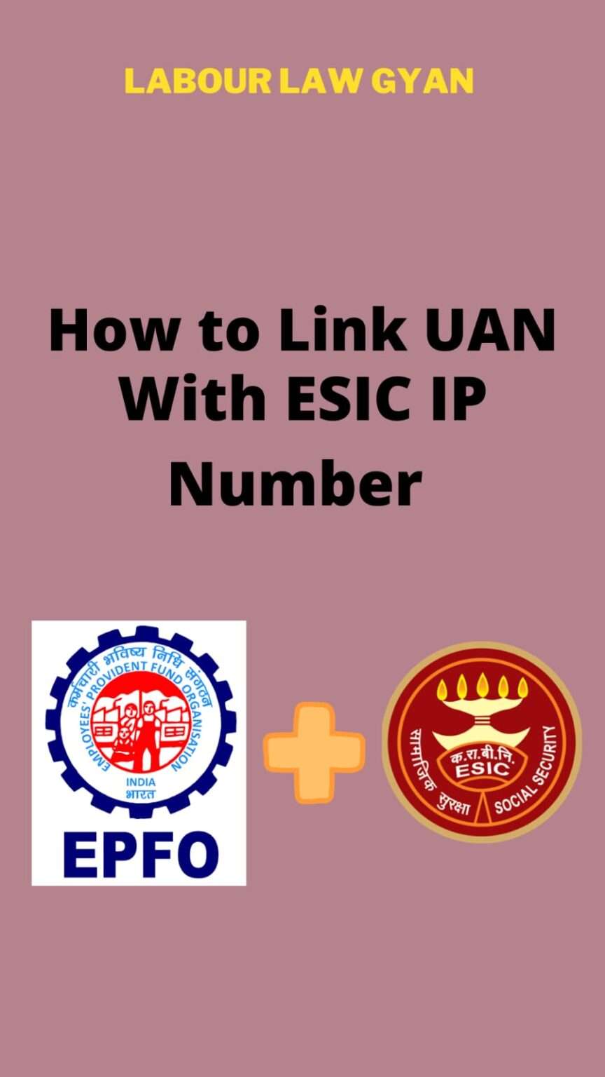 how-to-link-uan-with-esic-ip-number-labour-law-gyan